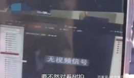 娱乐吃瓜酱偷电瓶,娱乐吃瓜酱的惊险一幕